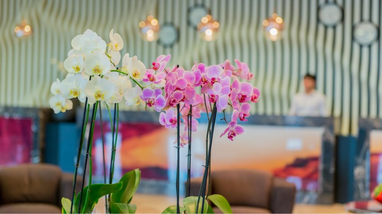 Otel Resepsiyon Çiçekleri